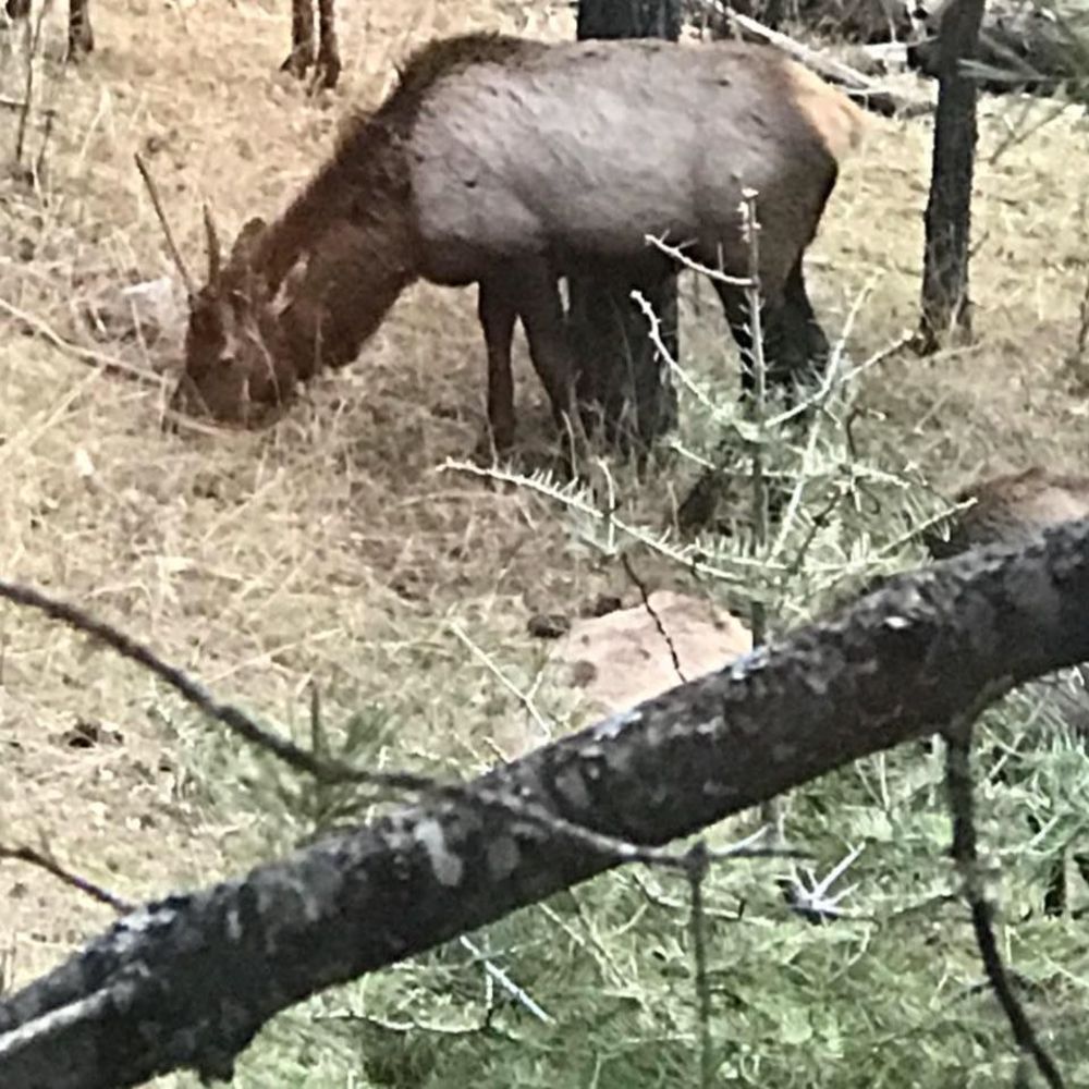 Meet your Posher, Francoise
